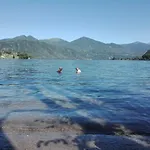 Bocciolo
