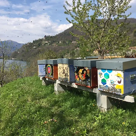 فندق Bocciolo أورتا سان جوليو