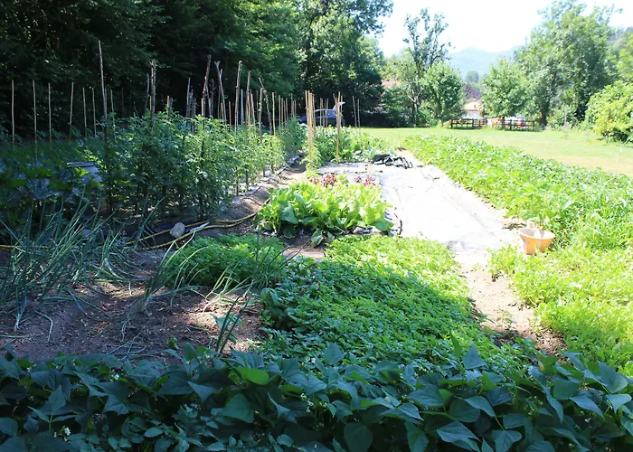 ホテル Bocciolo 3*