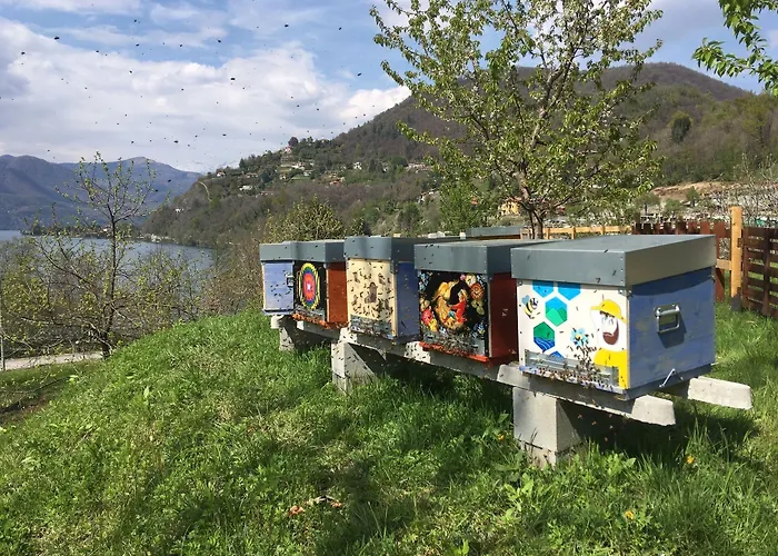 Otel Bocciolo Orta San Giulio