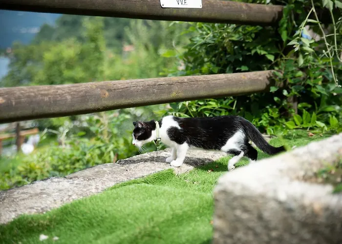 ホテル Bocciolo 3*